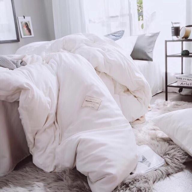 Bộ chăn ga cotton TC một màu trắng khách sạn - Free bo chun