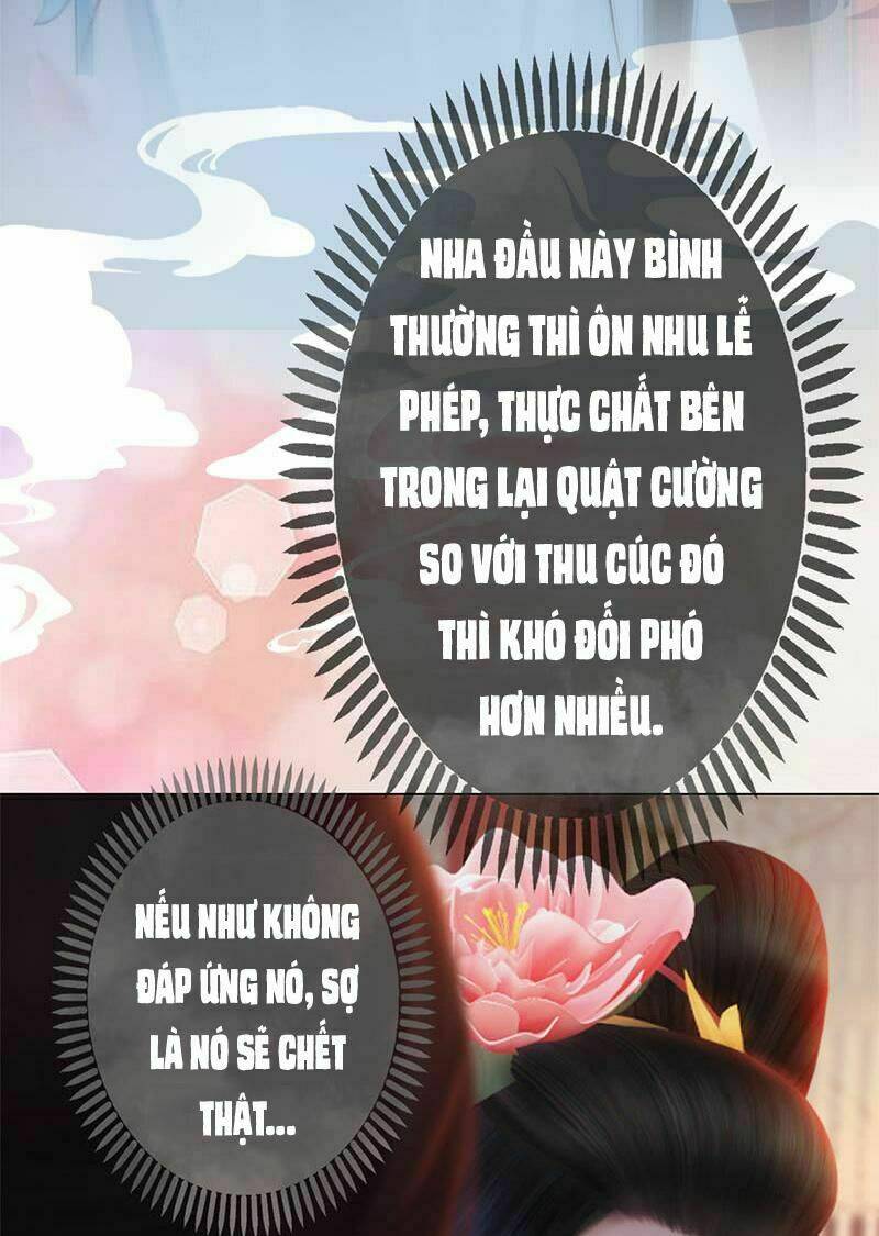 đồng tâm kết chapter 1 33