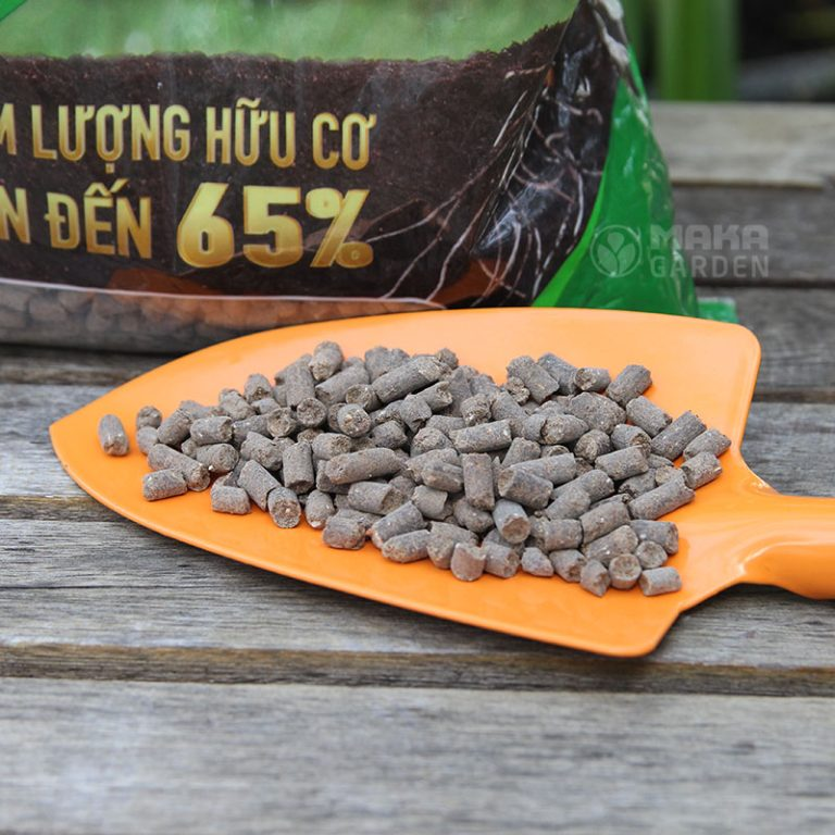 Phân bón hữu cơ sinh học Bion Ficoco
