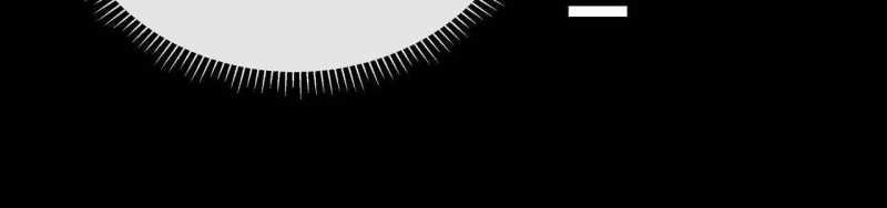 ngại qué, kỹ năng của ta tự mãn cấp! chapter 2 187