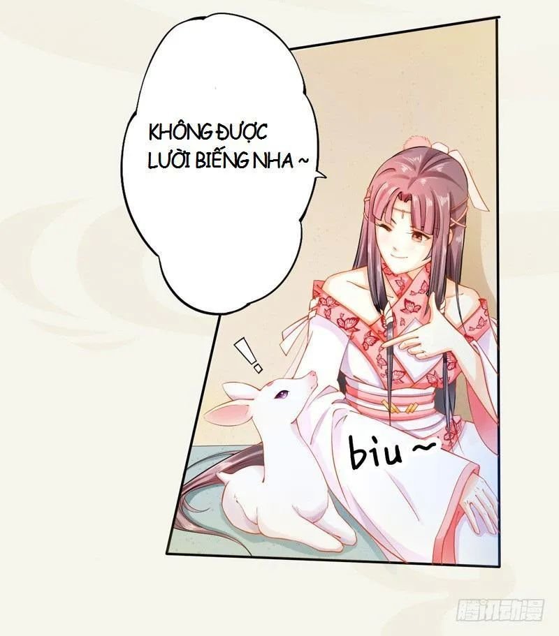 tuyệt thế luyện đan sư chapter 12 13