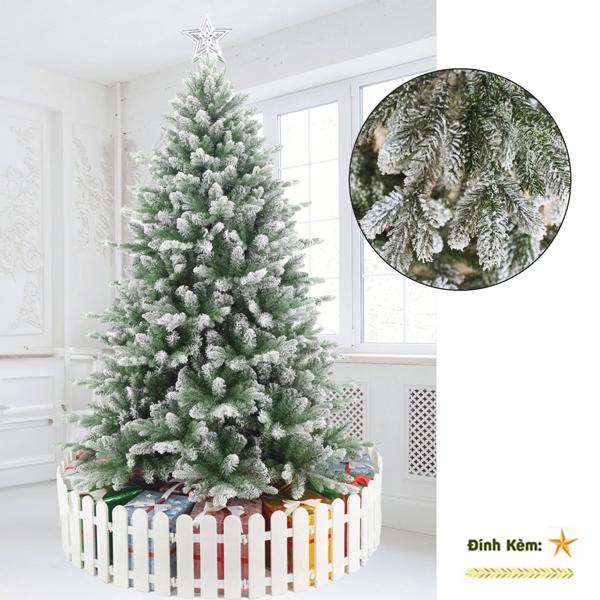Cây Thông PE Phủ Tuyết 150 cm - Chaang Chiia LP-PE1-5