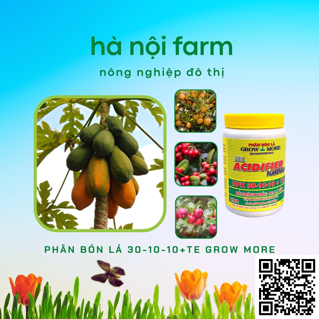 Phân bón lá 30-10-10 Grow More - Hũ 100g