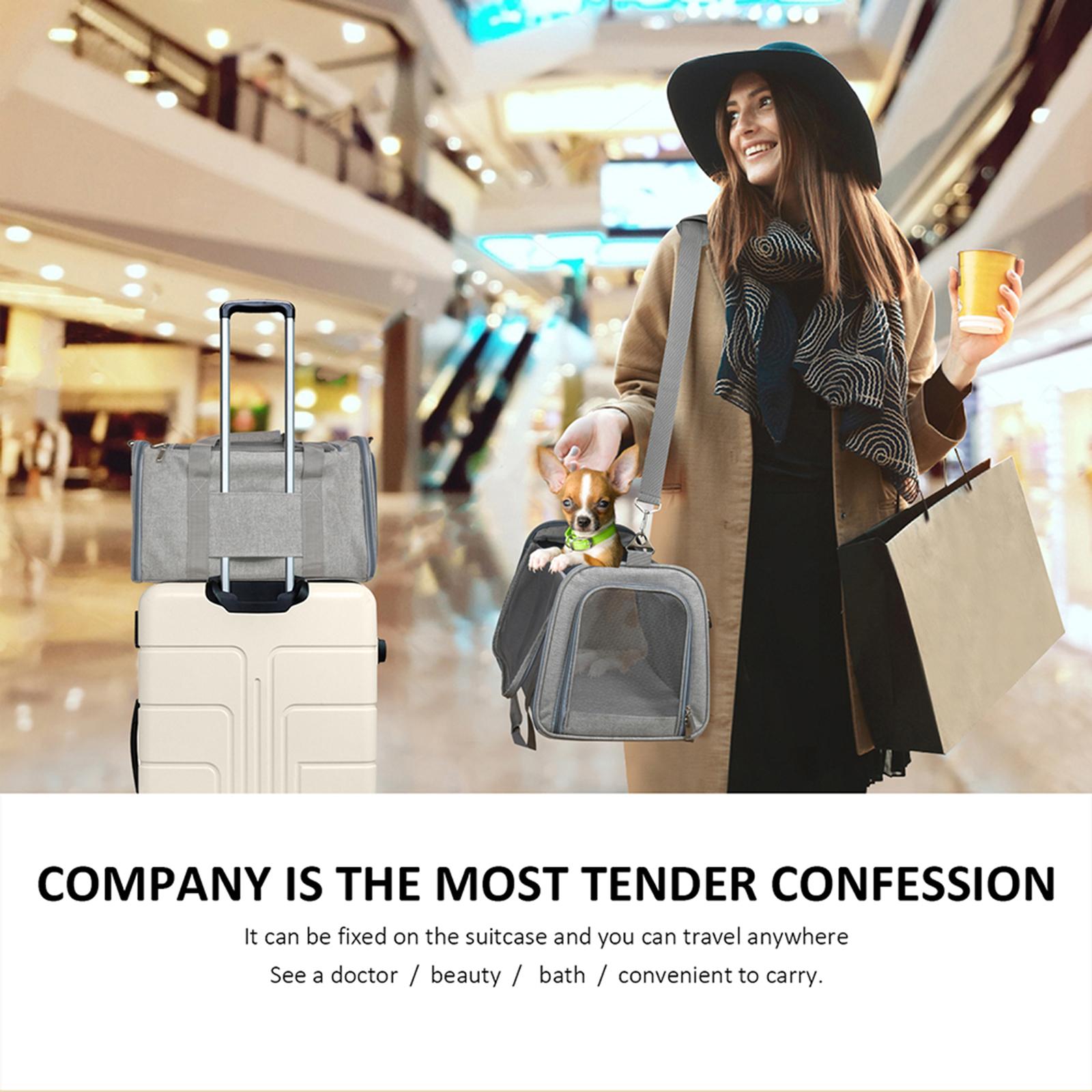 Soft PVC Pet Dog Carrier Backpack w/ Handles Pet Carrying Box Travel Bag w/ Washable Cozy Bed Folding for Puppy Cat Rabbit Escape Proof Breathable