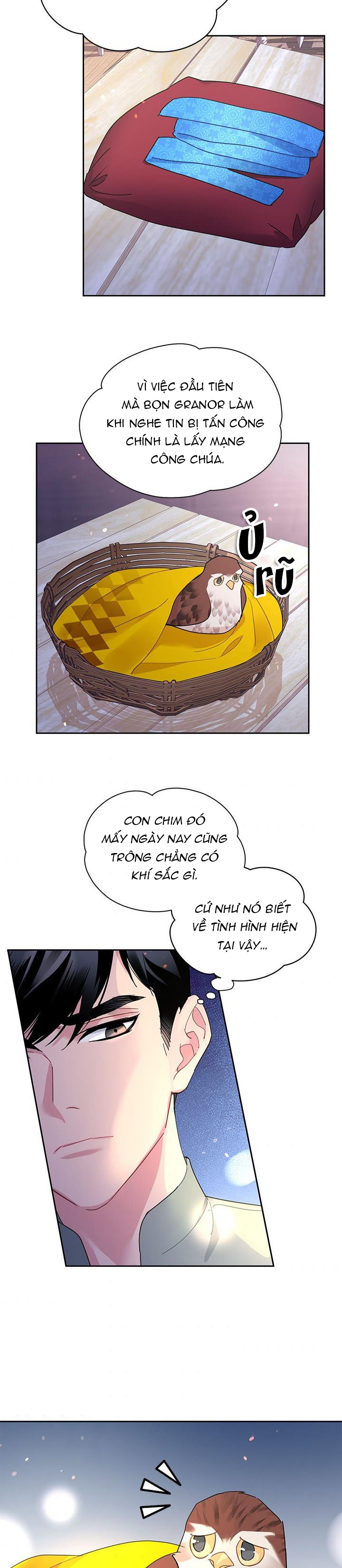 công chúa của loài chim chapter 28 22