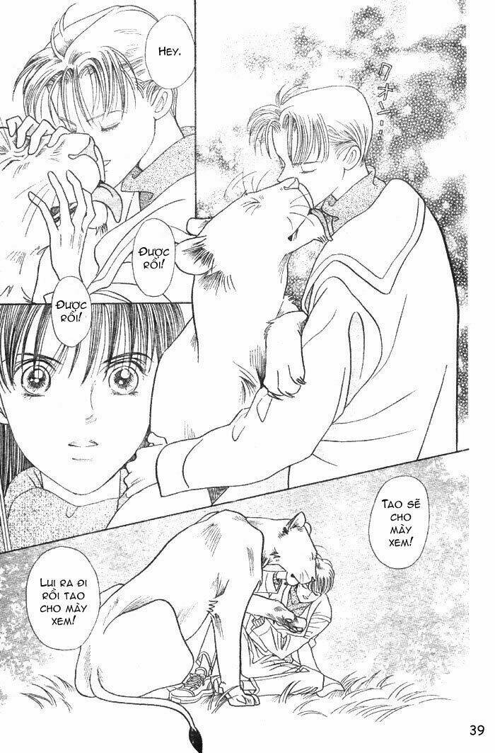 wild cats chapter 1 42