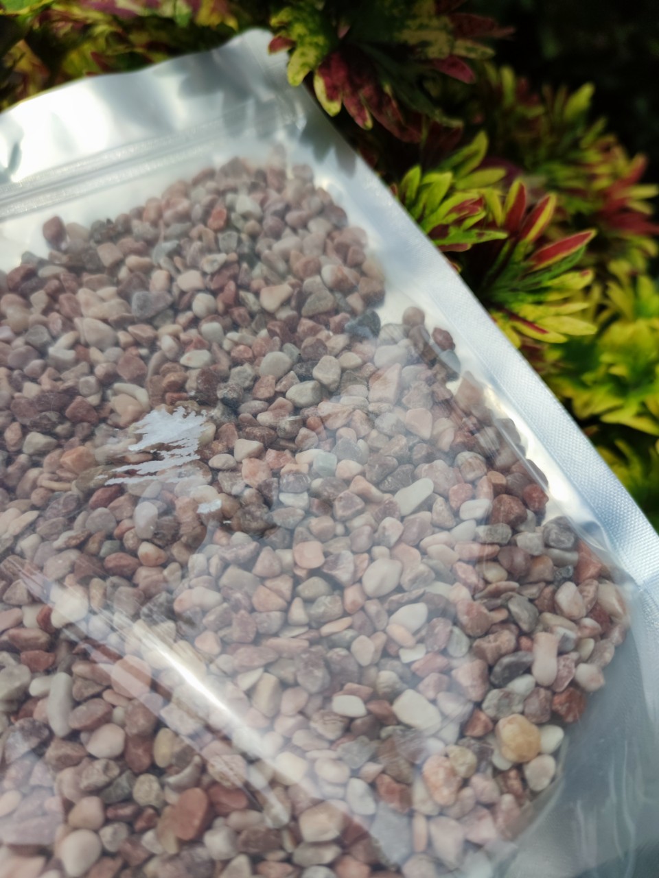 Gói 1kg - Sỏi hồng tự nhiên siêu dễ thương