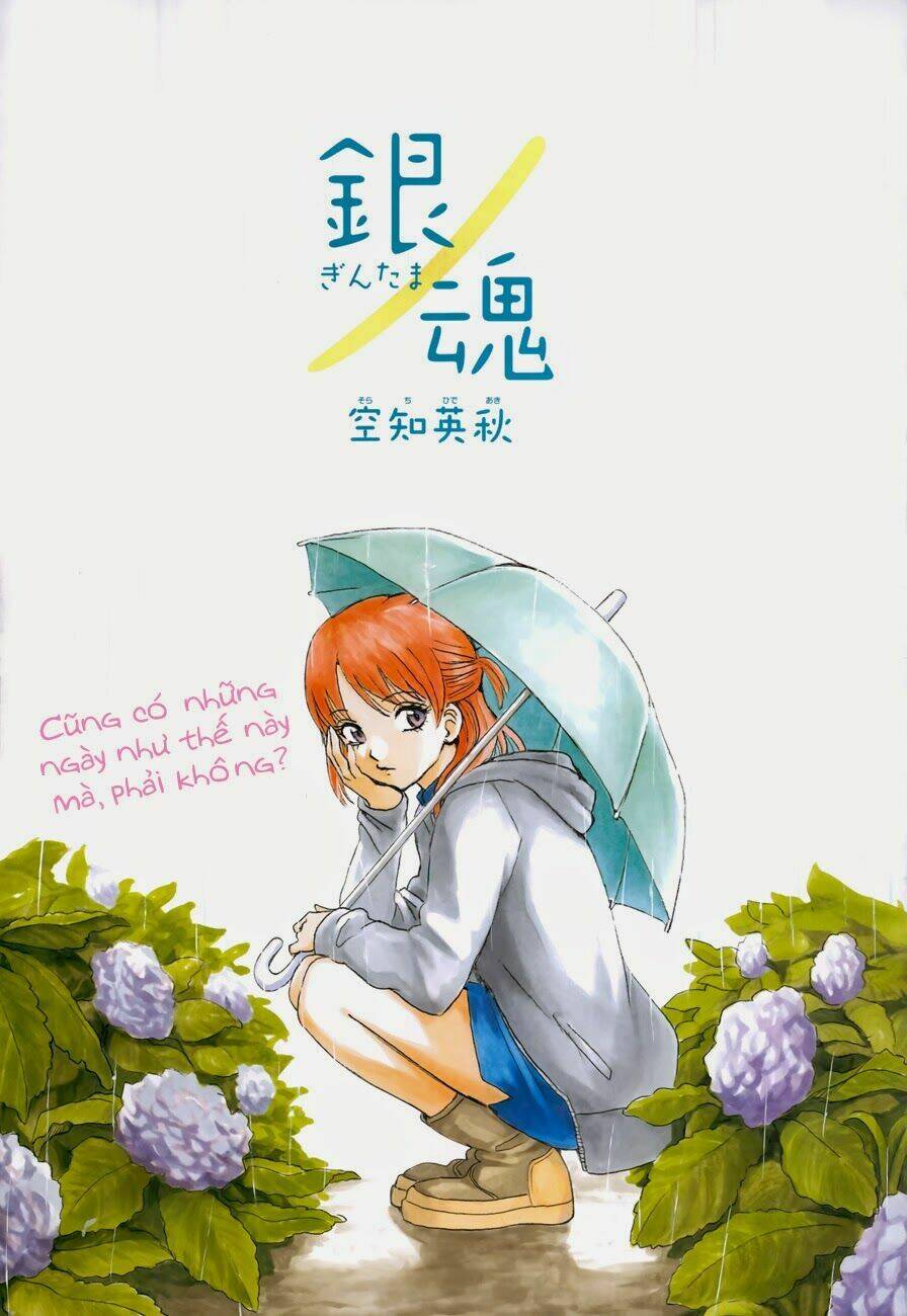 gintama - linh hồn bạc chapter 482 2