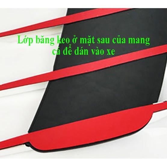 Cặp mang cá trang trí ô tô