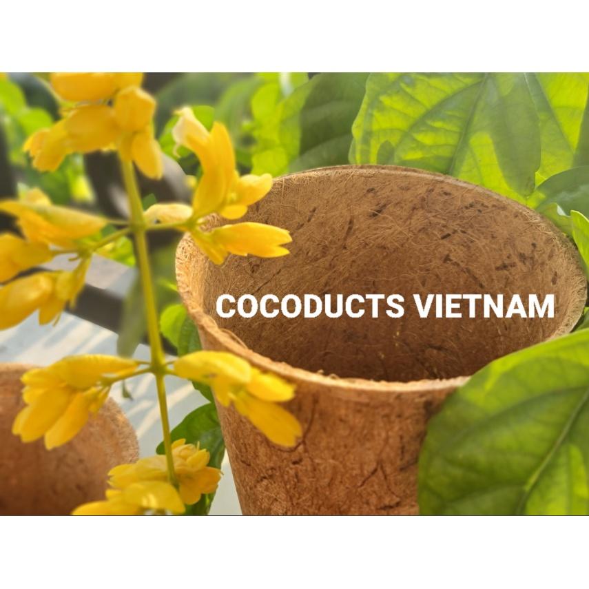 Chậu xơ dừa ép nhiệt Coir Pot (Chậu kiểng lá)