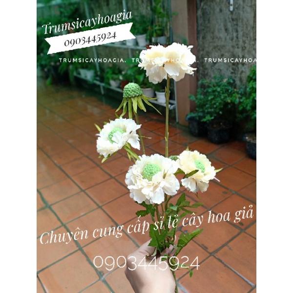 Cành cúc quả thông cao 60cm trang trí độc lạ nhập khẩu-Hoa cao cấp