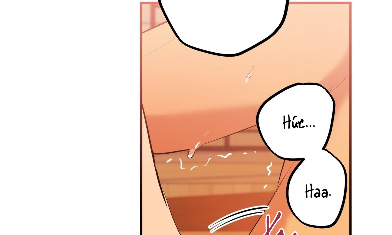 đàn thỏ của habibi chapter 25 188