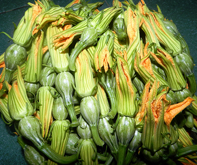 HẠT GIỐNG BÍ SIÊU NỤ