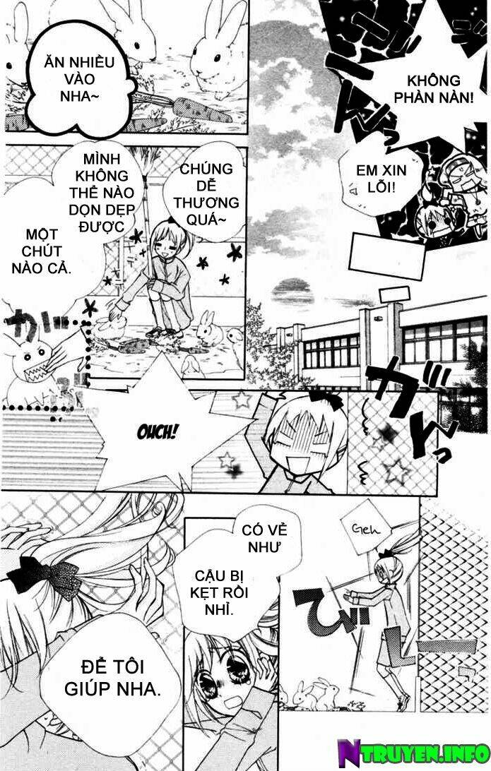 chocolate chapter 4 23