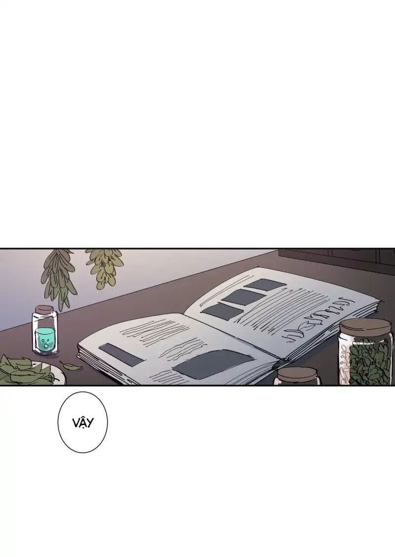 lumine - cội nguồn ánh sáng chapter 69 12