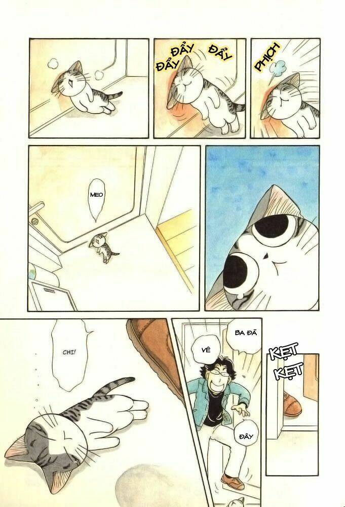 chi's sweet home chapter 8 7