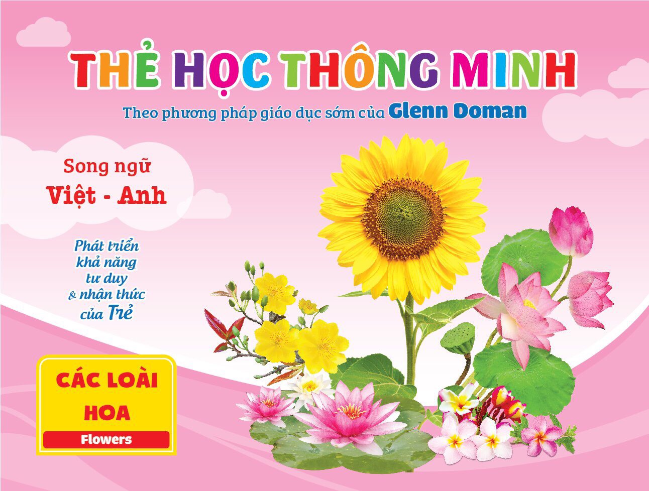 Flashcard cho bé theo phương pháp Glenn Doman - Bộ thẻ học thông minh