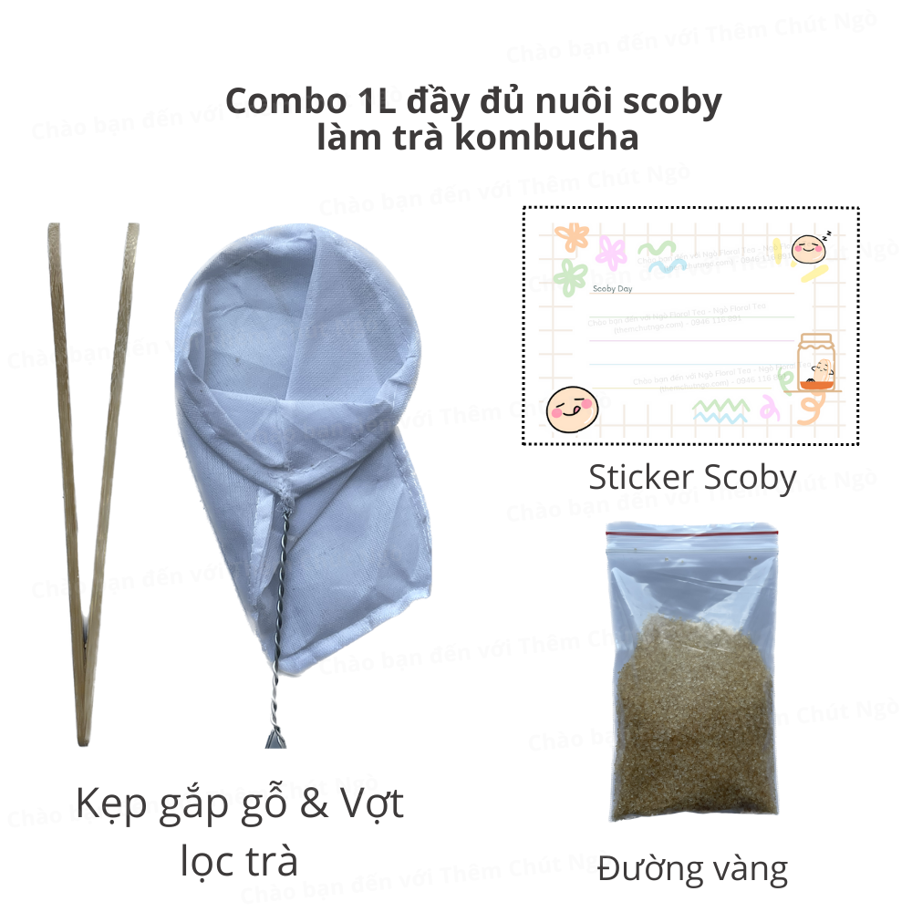 Combo Trà Kombucha 1L đầy đủ nguyên liệu nuôi Scoby làm trà Kombucha (dùng để làm 0,5 lít)