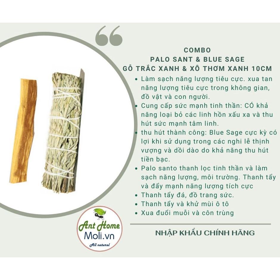 Sét 1 bó xô thơm xanh blue sage + 1 thanh gỗ trắc xanh palo santo 10cm May mắn - Tài lộc