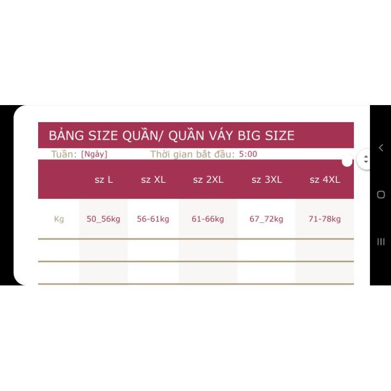 (Chuyên Big size)Quần giả váy phối khoen G010