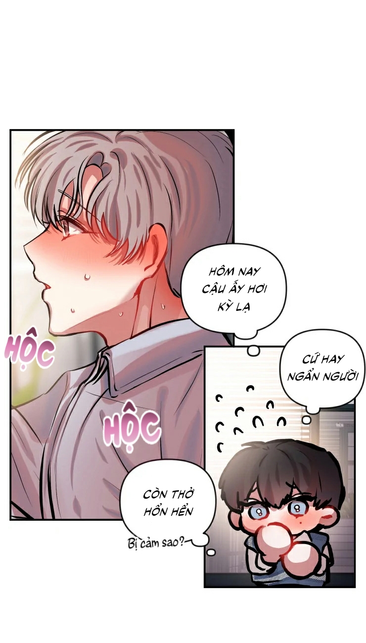 hợp đồng tình yêu chapter 18 47