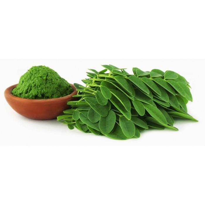 Hạt giống cây chùm ngây