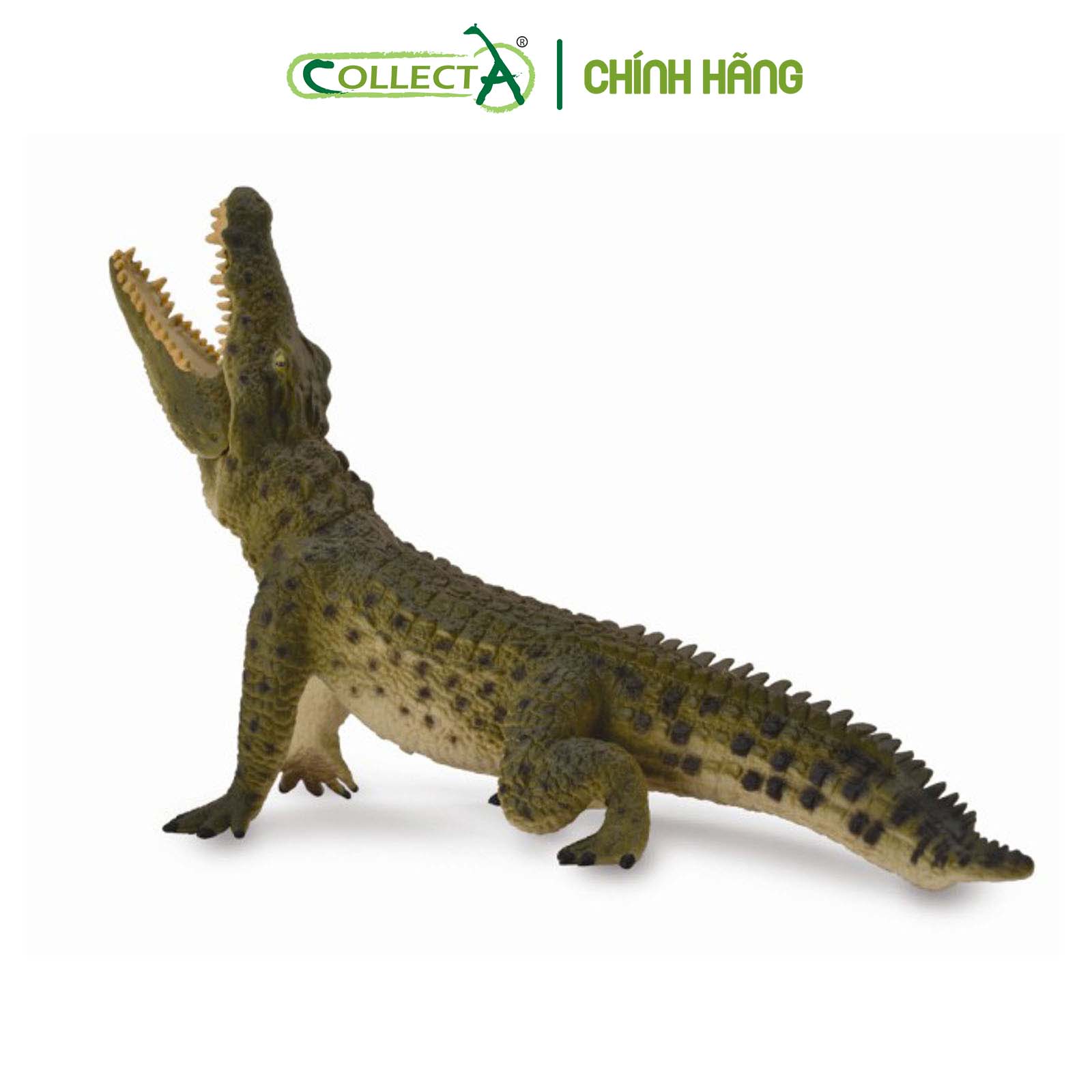 Mô hình thu nhỏ: Cá Sấu Sông Nile - Nile Crocodile Leaping with movable jaw, hiệu: CollectA, mã HS 9651090[88725] -  Chất liệu an toàn cho trẻ - Hàng chính hãng