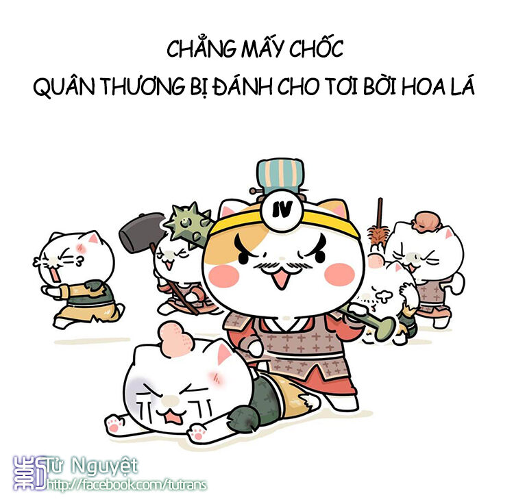 nếu lịch sử là một bầy mèo chapter 11 46