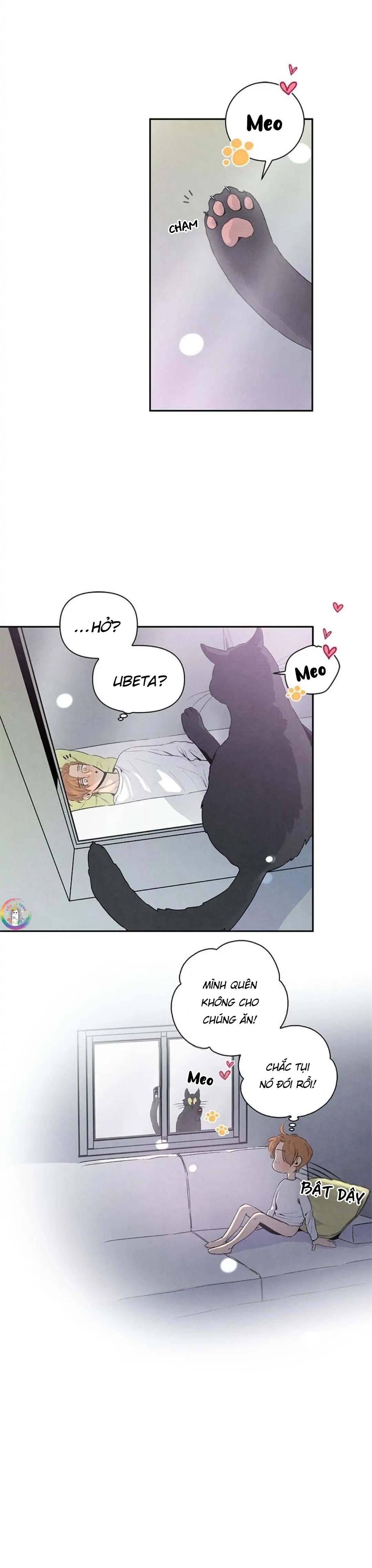 bona sort chapter 34 20