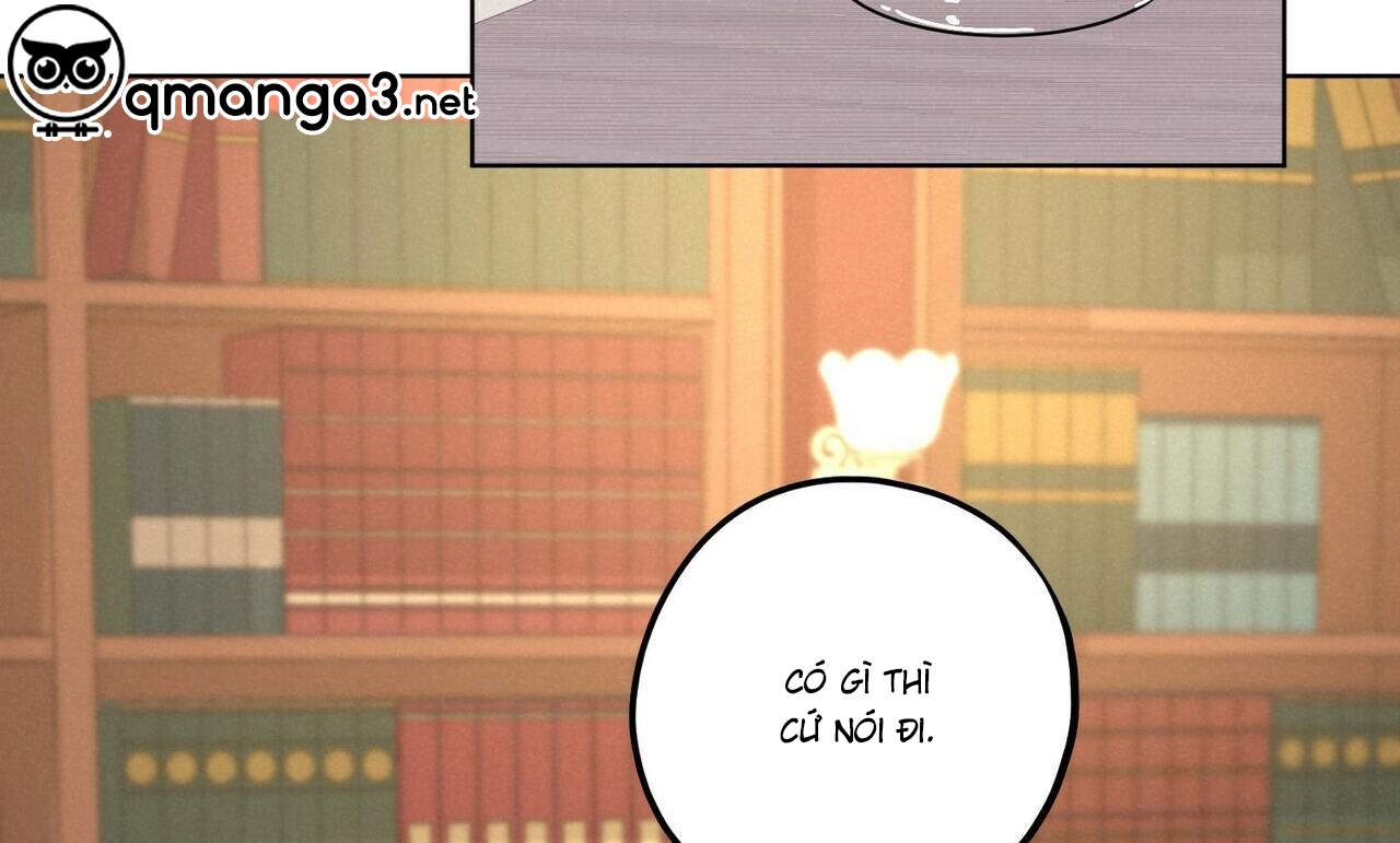 chàng dâu nhà họ kang chapter 27 21