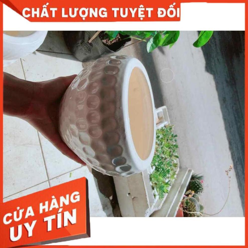 Chậu trồng cây Nhiều Người Mua