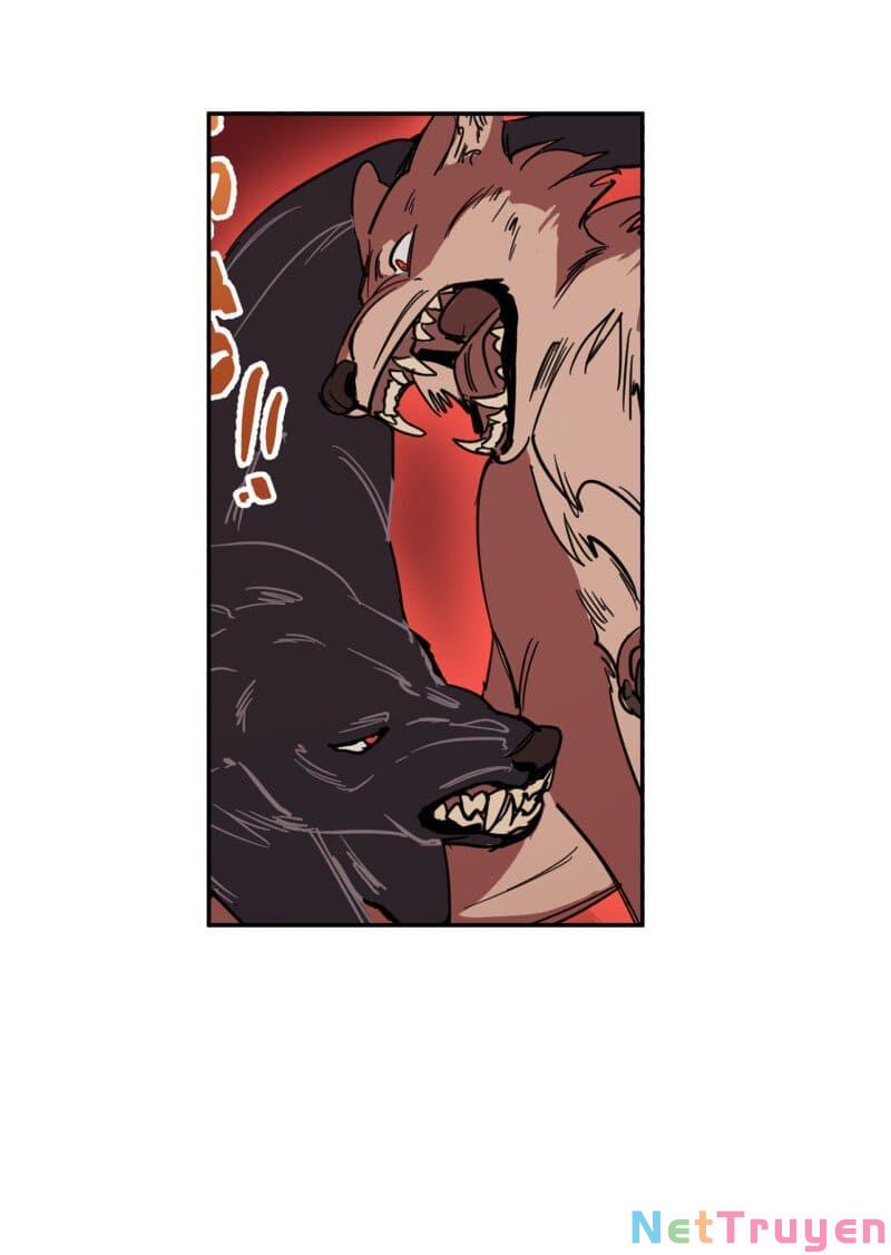 lumine - cội nguồn ánh sáng chapter 73 43