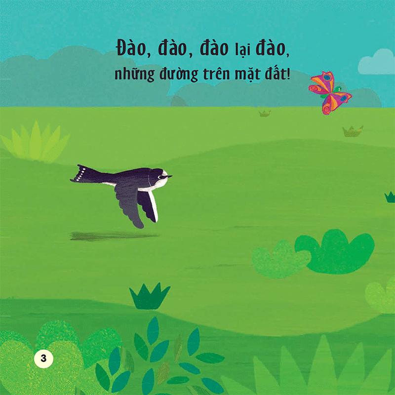 Chạm Và Trượt - Cây Trồng Lớn Rồi Kìa!