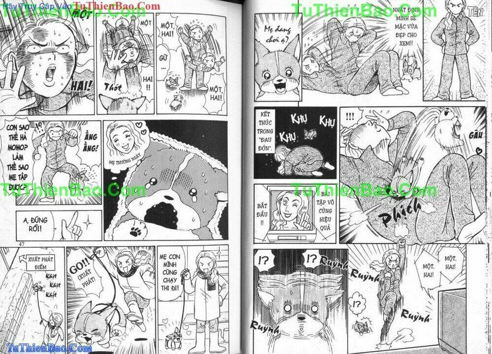 chó con mo mo chapter 4 24