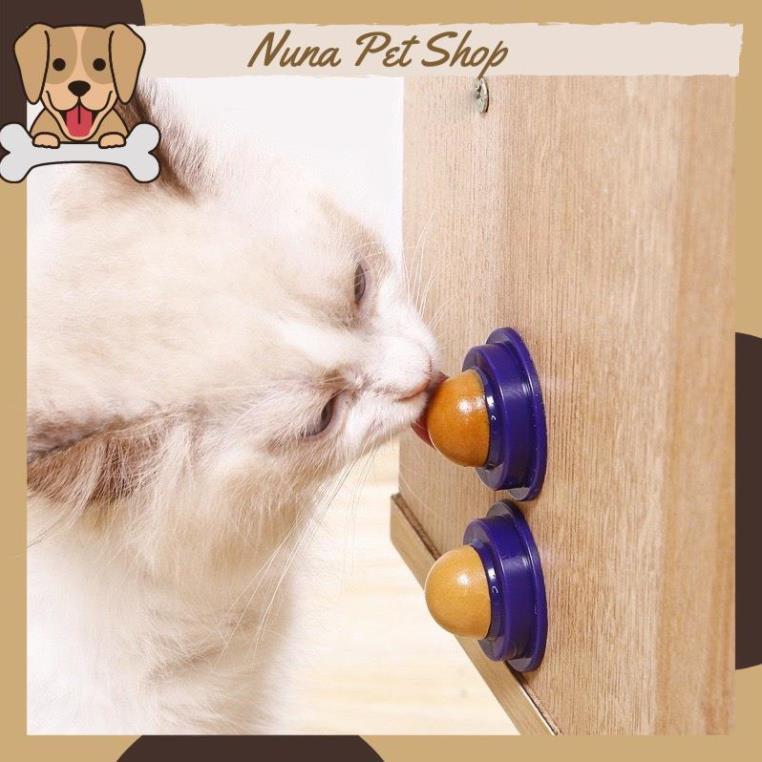 Kẹo liếm dinh dưỡng cho mèo, kẹo dán tường tăng đề kháng, bổ sung vitamin