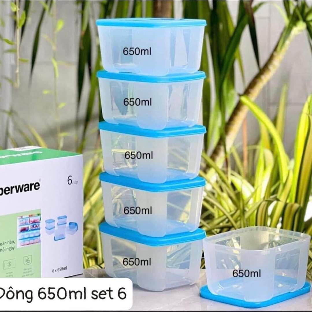 Bộ Hộp Đựng Thực Phẩm Tupperware Trữ Đông Gen I Small 650ml vuông