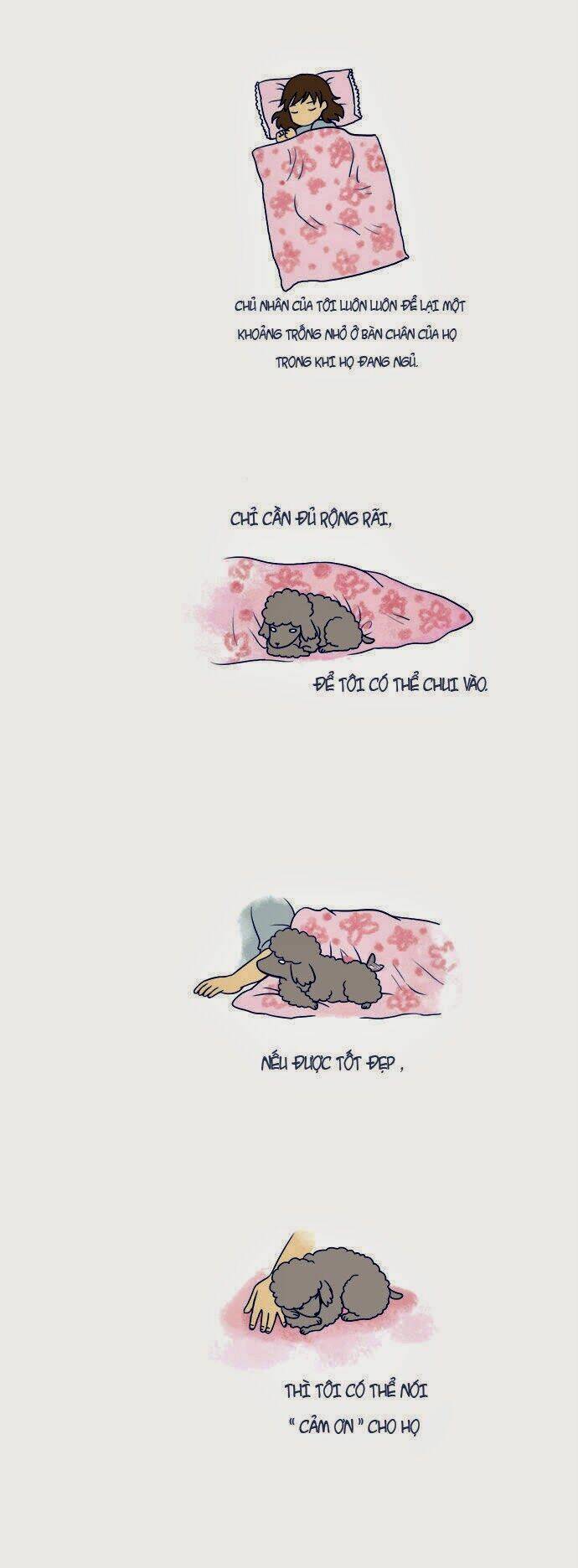 mèo con và chú chó già của tôi chapter 8 2