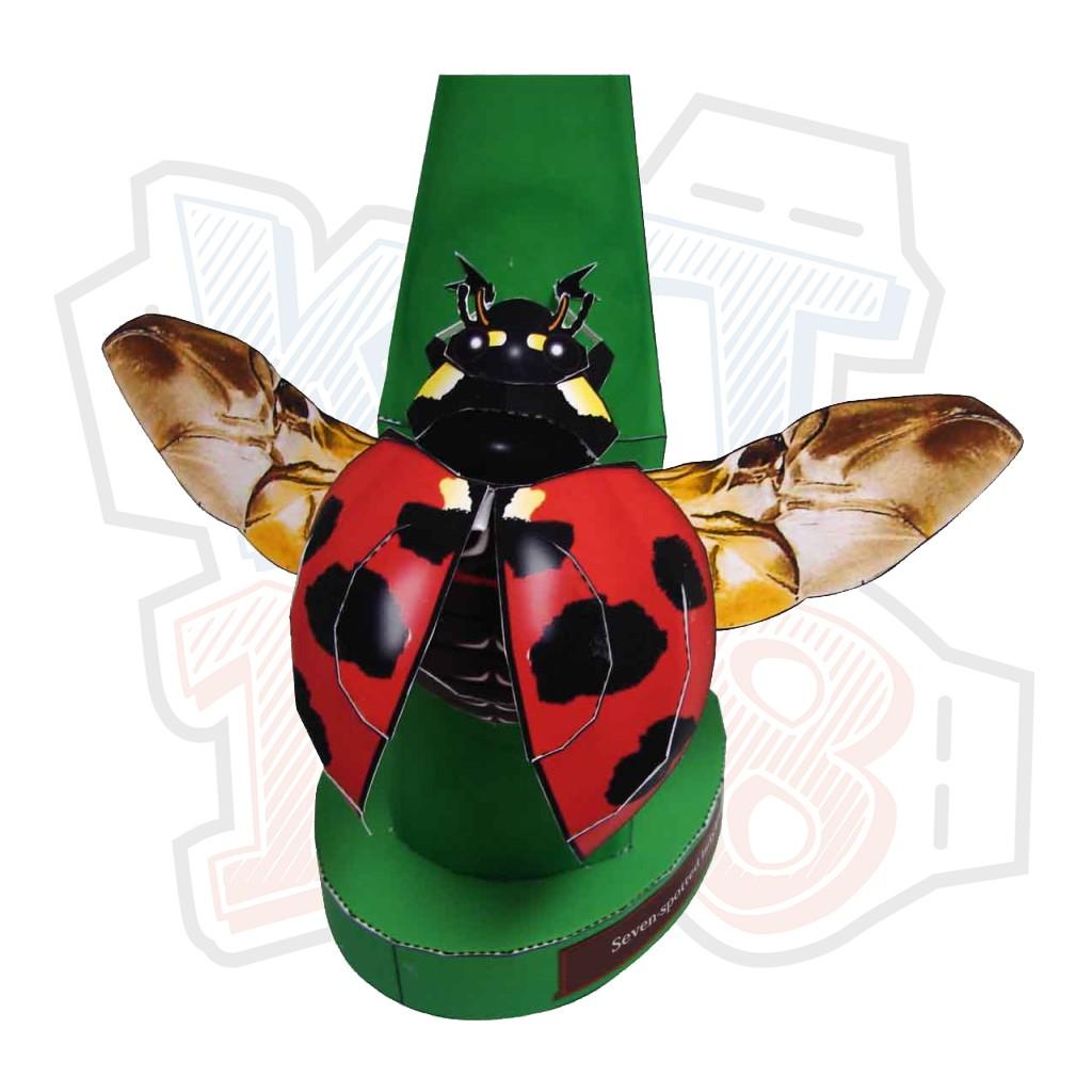 Mô hình giấy Côn trùng cánh cam Seven-spotted Ladybug