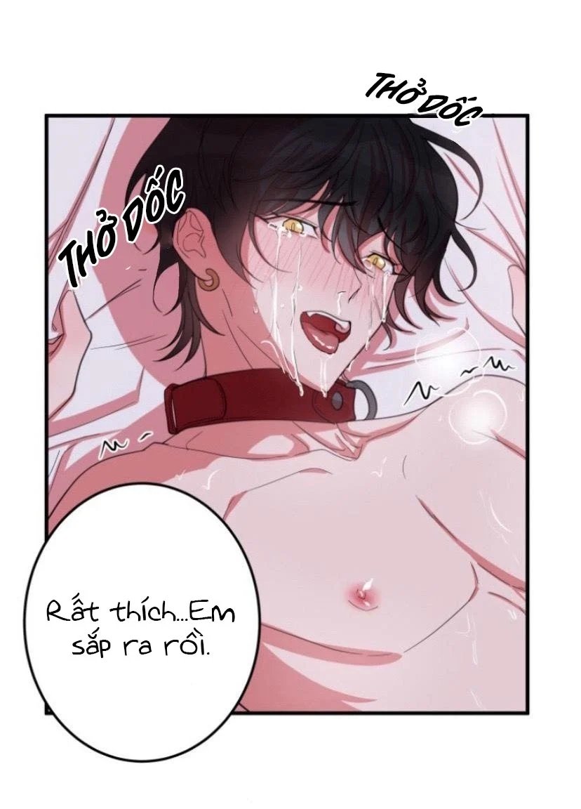 người tình dâm đãng của tôi chapter 5 40