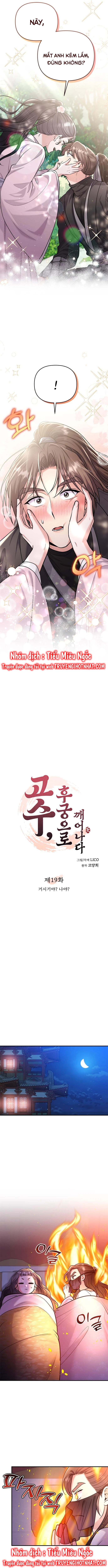 cao thủ chốn hậu cung chapter 37 3