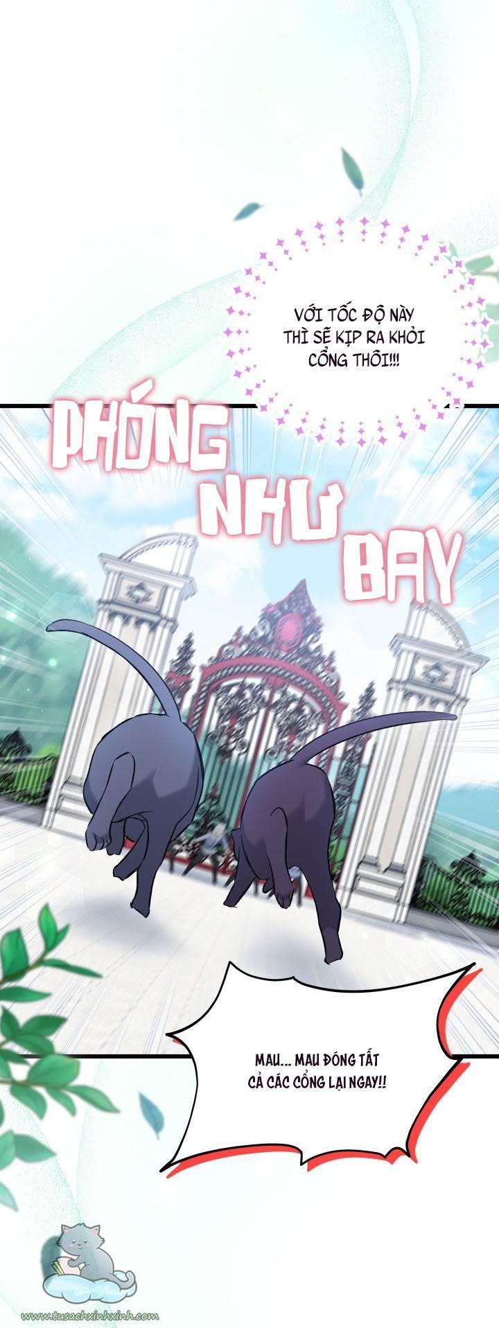 quan hệ cộng sinh giữa báo đen và thỏ trắng chapter 60 29