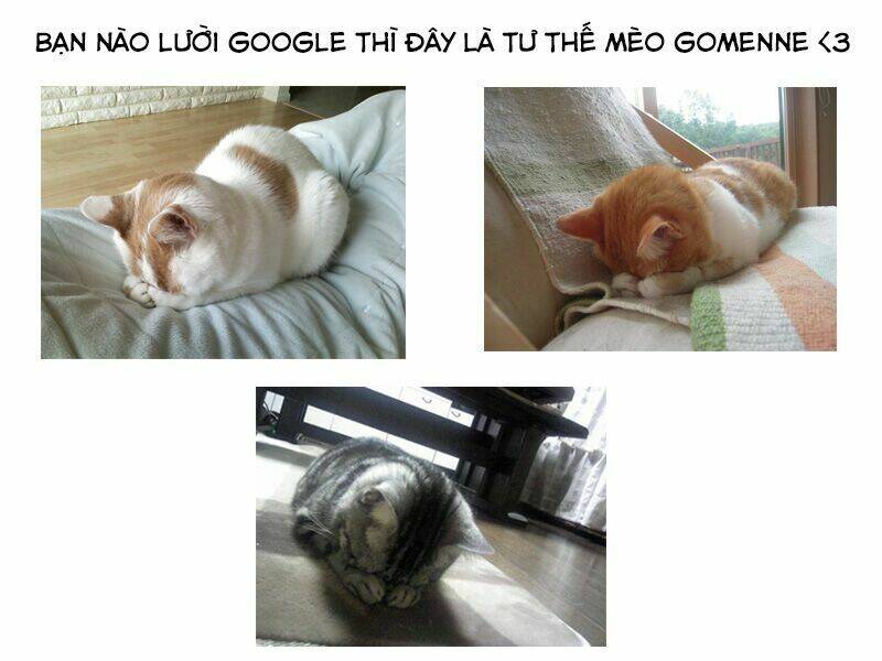 dare datte skylark chapter 1 37