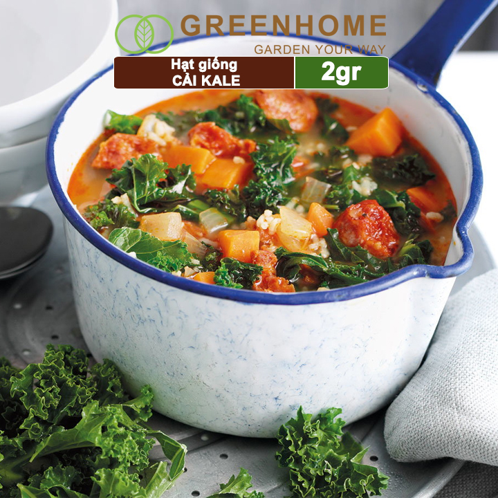 Hạt giống Cải xoăn Kale Greenhome, 2gr, dễ trồng, giàu dinh dưỡng R16