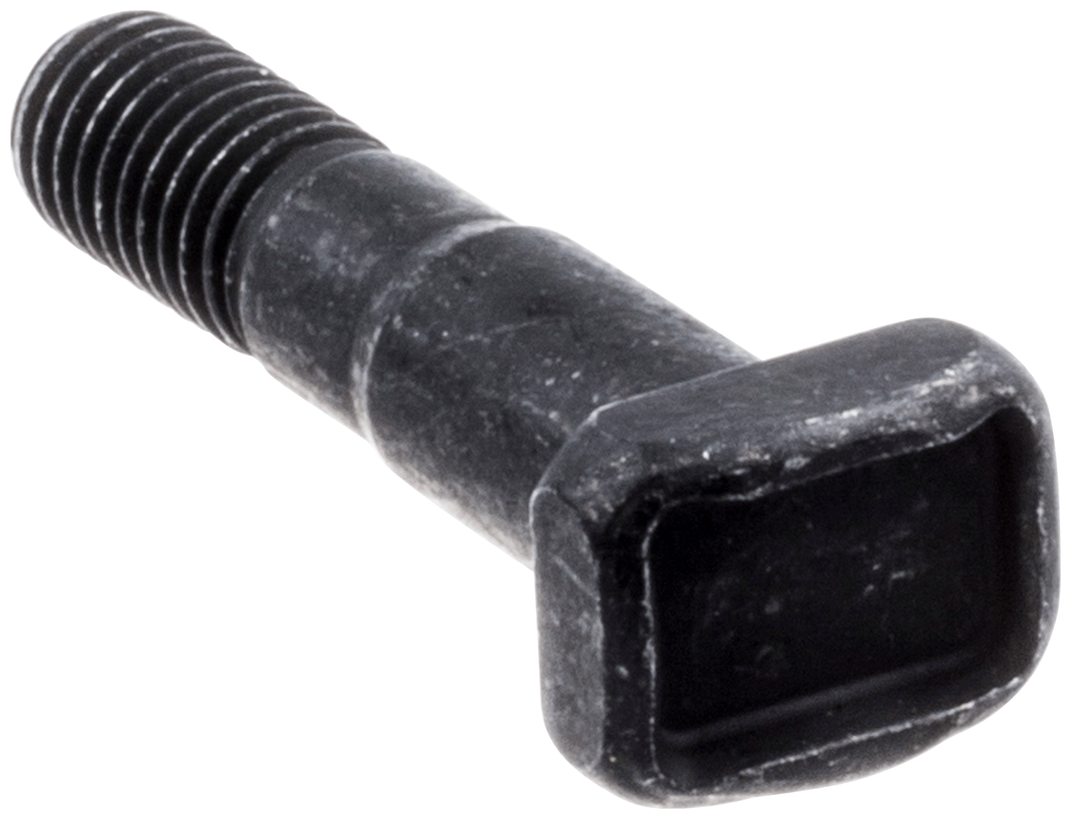 Ốc bắt lam Cưa (1 cái)