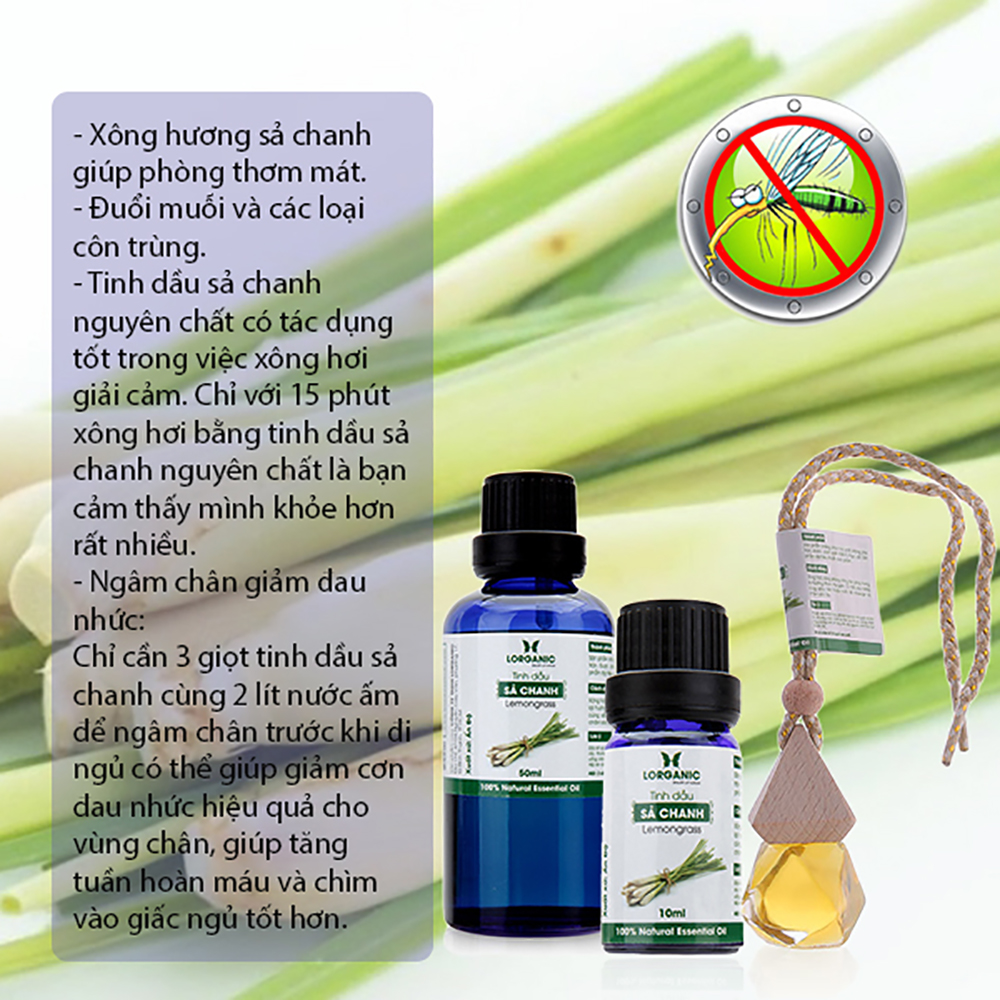 Máy khuếch tán/ máy xông tinh dầu bình tửu + tinh dầu sả chanh + tinh dầu bưởi chùm Lorganic