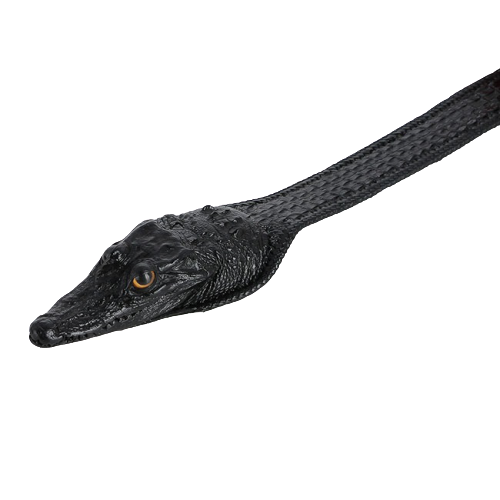 HC4252-53-54-55 - Thắt lưng nam da cá sấu Huy Hoàng nguyên con lớn đầu cá sấu màu đen, nâu đỏ, vàng, nâu đất