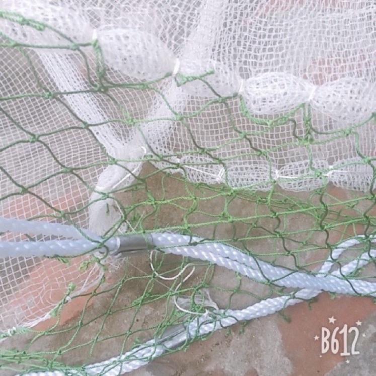 sale to sale Lưới Kéo Cá-Lưới Quét Cá -Lưới Vét Cá ,Tôm,Tép AO HỒ cao 2m dài 30m túi 4m .chất lượng hàng loại 1 y hình