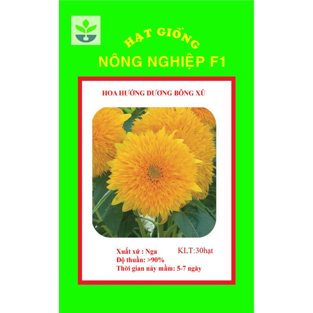 Gói 30 hạt giống hướng dương xù