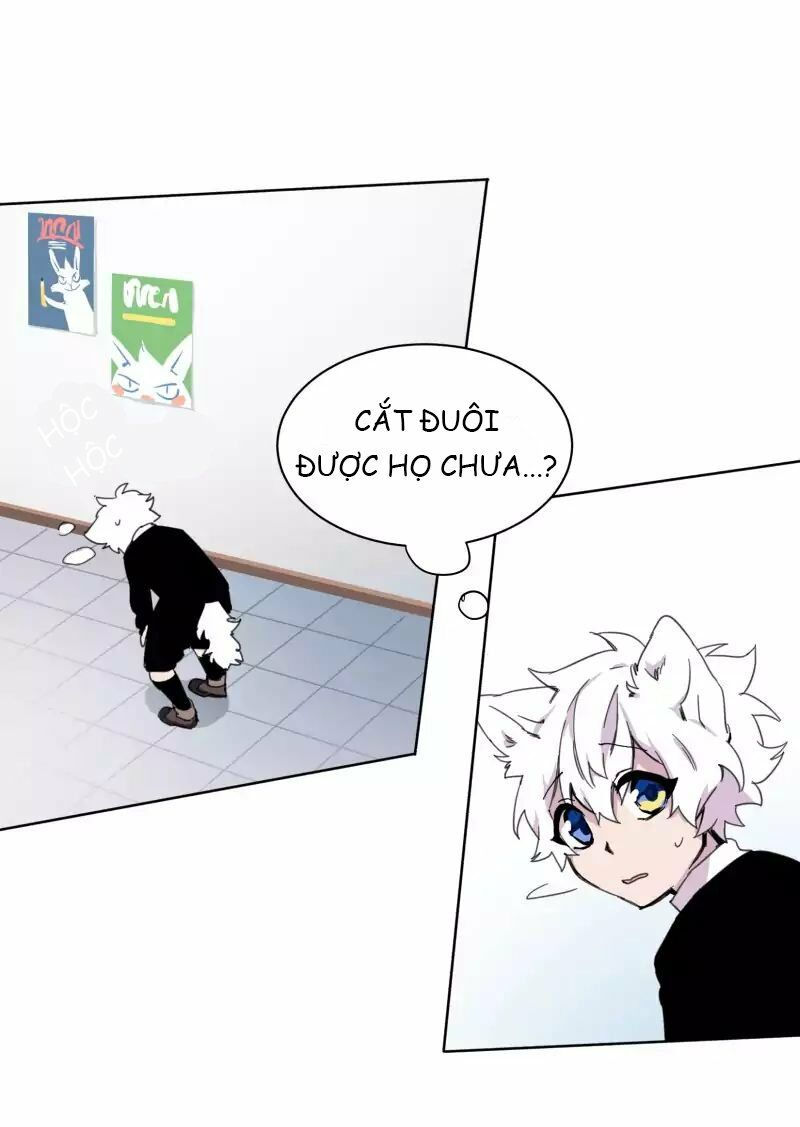 lumine - cội nguồn ánh sáng chapter 19 21