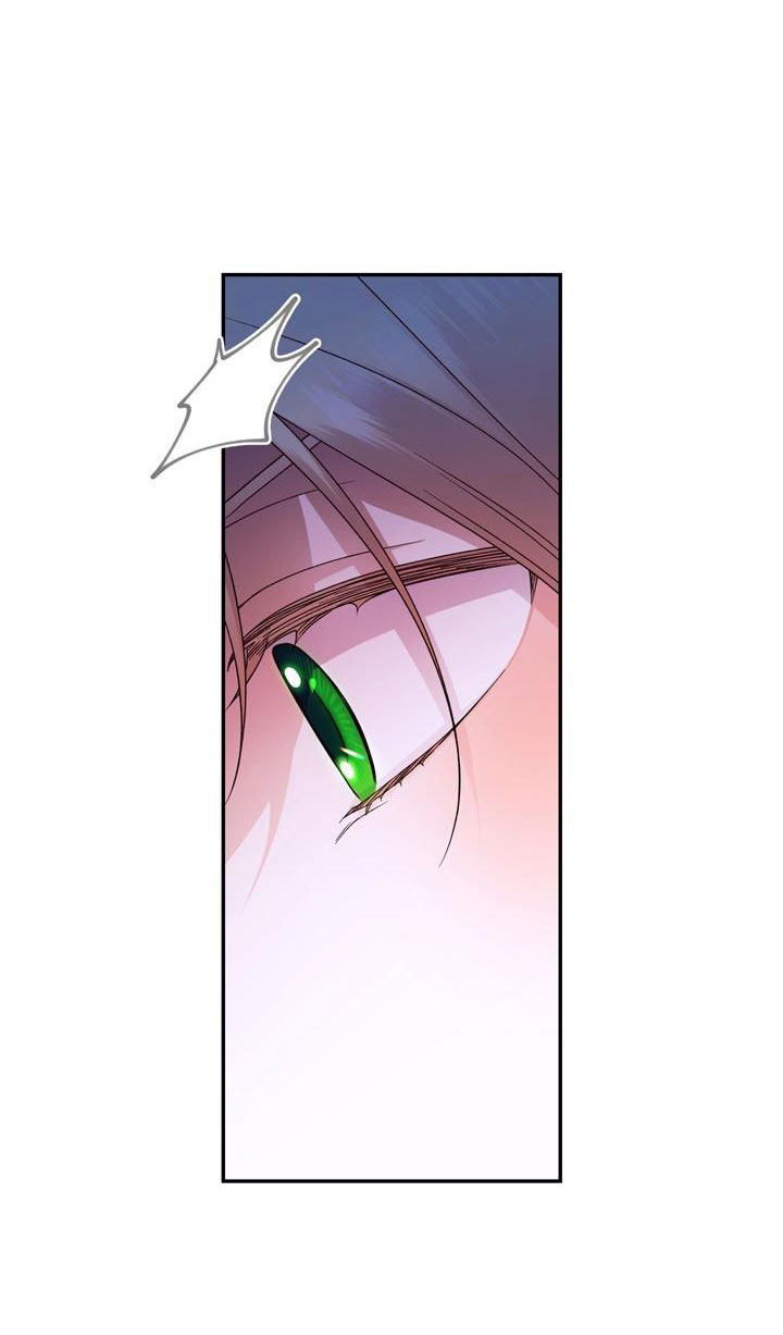 cách che giấu đứa con của hoàng đế chapter 29 46